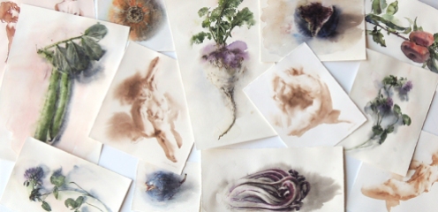 Wendy Artin, Watercolors for LUSH, 2020